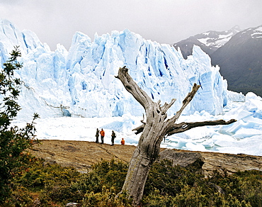 Perito Moreno Glacier, Campo de Hielo Sur, Andes, Patagonia, Argentina, South America