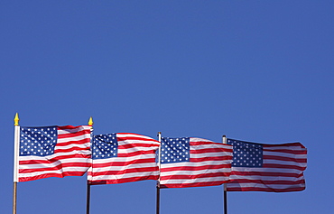 Four US flags, American flags against a blue sky