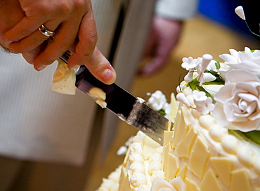 Cutting the wedding cake