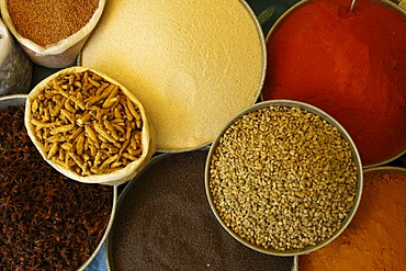 Indian herbes and spices, India