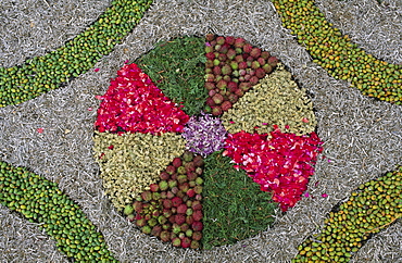 Detail of a carpet of flowers for Corpus Christi, Mazo, La Palma, Canary Islands, Spain