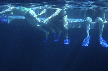 Bathing platform, Great Barrier Reef, Australia