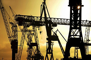 Loading cranes of the dockyards in the harbour, Hamburg, Germany