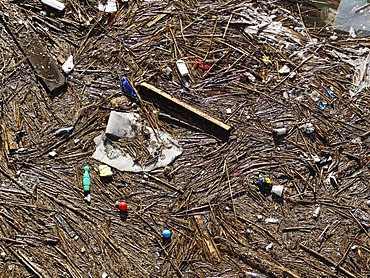 Flotsam and jetsam in a port basin, Hamburg, Germany