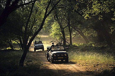 Ranthambhore National Park, safari with cross-country car, Ranthambhore, India