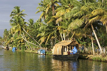 Typical rice boats on the Backwaters, a canal system along the coastline, Kerala, India