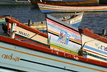 IND, India, Kerala, Trivandrum : Fishing village Vizhnijam, south of Trivandrum. Base for many fishermen and their boats. Fish market. |