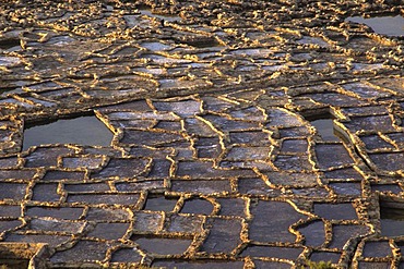 Saltworks at the coast near Marsalforn, Gozo island, Malta