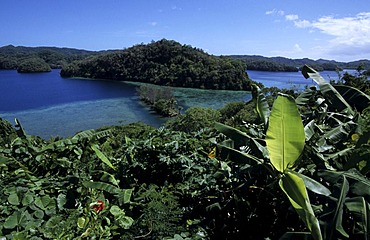 Rock Islands, tropical vegetation, Palau, Micronesia