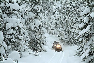 CAN, Canada , Quebec : Snowmobiles in the region of Saguenay - Lac Saint Jean, Monts Valin