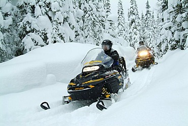 CAN, Canada , Quebec : Snowmobiles in the region of Saguenay - Lac Saint Jean, Monts Valin