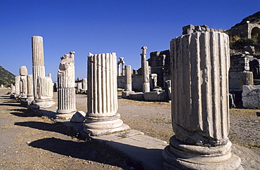 TUR, Turkey, Ephesus : Ancient city of Ephesus. |