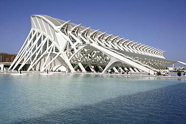 ESP, Spain, Valencia : Ciudad de las Artes Y de las Ciencias, City of arts and sciences. Museo de las Ciencias Principe Filipe