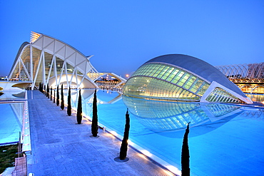 ESP, Spain, Valencia : Ciudad de las Artes Y de las Ciencias, City of arts and sciences. L'Hemisferic and Museo de las Ciencias Principe Filipe