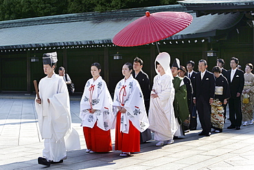 Shinto wedding, Meiji Shrine, Tokyo, Japan, Asia