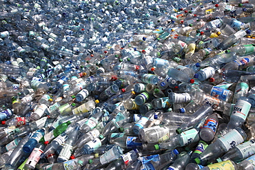 Plastic recycling, PET bottles and plastic rubbish are shredded and pressed, Essen, North Rhine-Westphalia, Germany, Europe