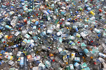 Plastic recycling, PET bottles and plastic rubbish are shredded and pressed, Essen, North Rhine-Westphalia, Germany, Europe