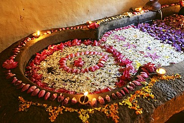 LKA, Sri Lanka : Siddhalepa Ayurveda Resort , ayurvedic flower bath, for relaxation.