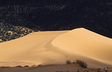 USA, United States of America, Utah: Coral Pink Sand Dunes State Park.