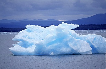 CHL, Chile, Patagonia: "Patagonia Connection", the San Rafael glacier, Laguna San Rafael.