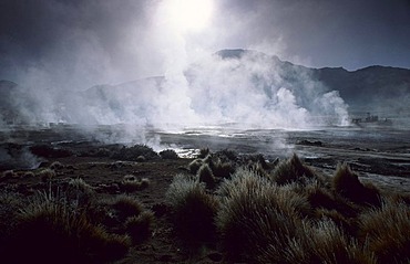 CHL, Chile, Atacama Desert: the hot springs and geysers of El Tatio.