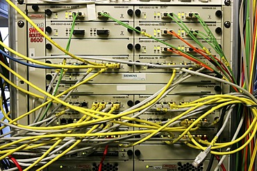 DEU, Germany : Cable of a computer server center of a company.