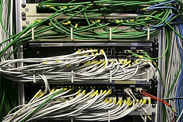 DEU, Germany : Cable of a computer server center of a company.