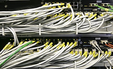 DEU, Germany : Cable of a computer server center of a company.