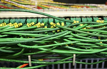 DEU, Germany : Cable of a computer server center of a company.