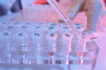 Laboratory of the Criminal Investigation Department, CID, for DNA analysis, scene-of-crime evidence, analysis and comparison of DNA samples of suspects, Duesseldorf, North Rhine-Westphalia, Germany, Europe