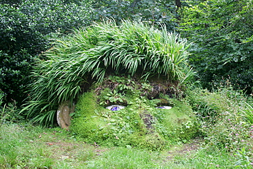 Giant's Head, The Lost Gardens of Heligan, Pentewan, St. Austell, Cornwall, Great Britain