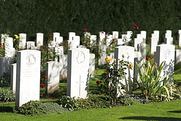 Gravestones, military cemetery, Cologne, North Rhine-Westphalia, Germany