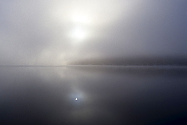 Early morning mist over Lake Schluchsee in winter, Hochschwarzwald, Upper Black Forest, Baden-Wuerttemberg, Germany, Europe