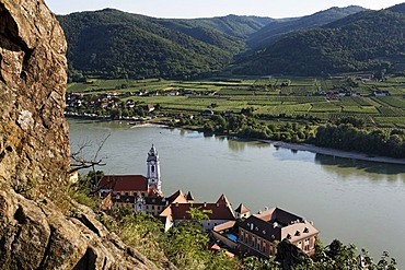 View of Duernstein and Danube, Wachau, Lower Austria, Austria