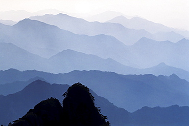 Early morning mist in the Huangshan Mountains, Huangshan, Anhui, China, Asia