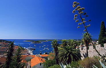 Hvar Island, Dalmatia, Dalmatian Coast, Croatia