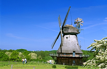 Windmill at the outdoor or open-air museum in Molfsee, Schleswig-Holstein, Germany, Europe