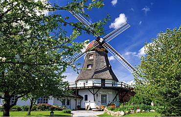Windmill in Groedersby on the Schlei River, Schleswig-Holstein, Germany