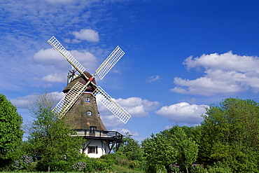 Windmill, Pommerby in the Angeln region on the Schlei River, Schleswig-Holstein, Germany, Europe