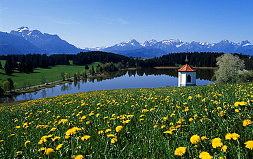 Chapel on Hegratsrieder See Lake, Allgaeu, Bavaria, Germany, Europe