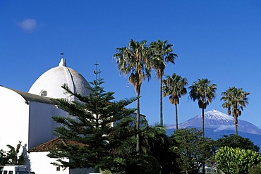 San Pedro Church, El Sauzal, Tenerife, Canary Islands, Spain, Europe