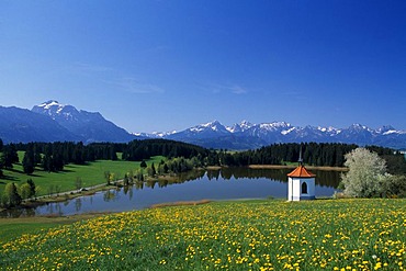 Lake Hergratsried, Allgaeu region, Bavaria, Germany Europe