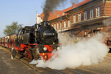 Historic steamer of narrow-gauge railway called Molli at railway station Kuehlungsborn West, Kuehlungsborn, Western Pomerania, Germany