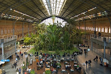 Tropical garden in the old concourse of Atocha railway station, Madrid, Spain