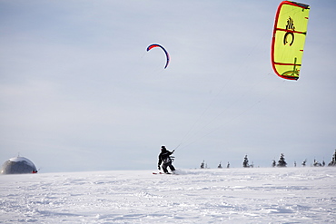 Snowkiting, kiteskiing, Mt. Wasserkruppe, Rhoen Mountains, Hesse, Germany, Europe