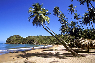 Playa Medina (Medina Beach), Sucre, Venezuela, Caribbean coast