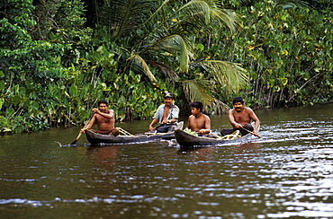 Warao Indians in a dugout canoe, Orinoco River Delta, Venezuela, South America