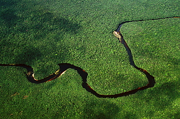 Aerial shot of Rio Churun (Churun River) and rainforest, Gran Sabana, Venezuela, South America