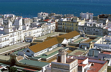 Mercado Central (Central Market), indoor marketplace, view from Torre Tavira (Tavira Tower), Cadiz, Costa de la Luz, Cadiz Province, Andalusia, Spain