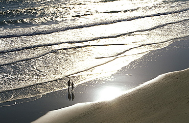 Playa de Fontanilla, beach in Conil de la Frontera, Costa de la Luz, Cadiz Province, Andalusia, Spain